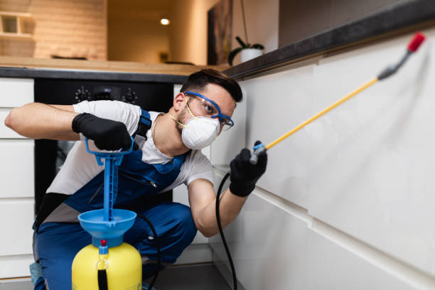 Best Cockroach Control Services  in Canton, PA