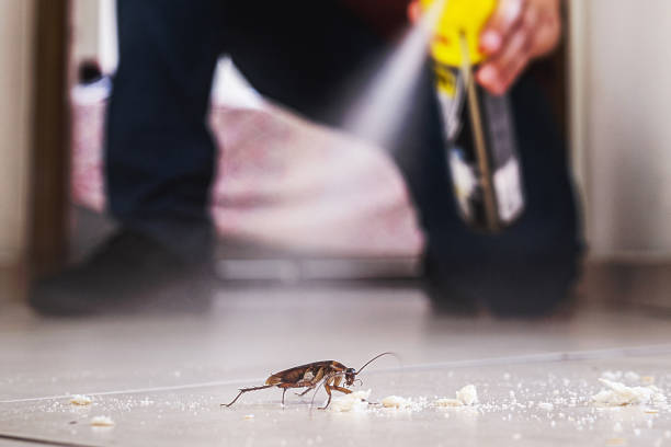 Best Pest Removal Services  in Canton, PA